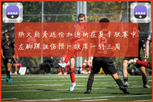 热火新秀迈伦加德纳在夏季联赛中左脚踝扭伤预计缺席一到三周