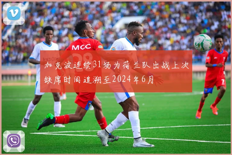 加克波连续31场为荷兰队出战上次缺席时间追溯至2024年6月